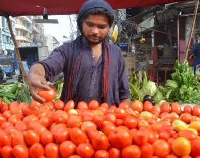 tomato prices
