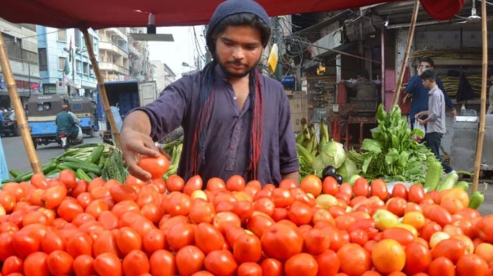 tomato prices