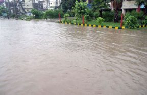 Punjab heavy rain