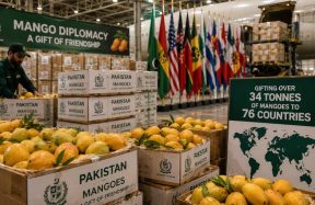 Pakistan mango diplomacy