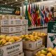 Pakistan mango diplomacy