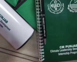 Punjab climate internship