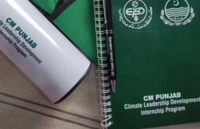 Punjab climate internship