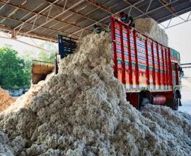 cotton sales tax