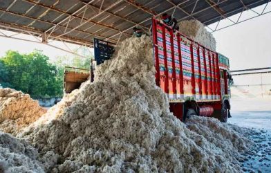 cotton sales tax
