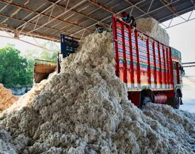 cotton sales tax