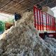 cotton sales tax