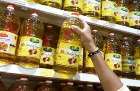 Pakistan palm oil imports