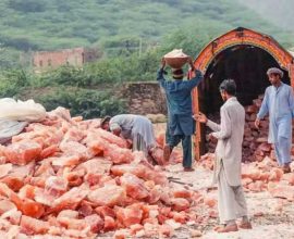 pink salt financing scheme