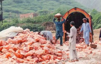 pink salt financing scheme