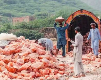 pink salt financing scheme