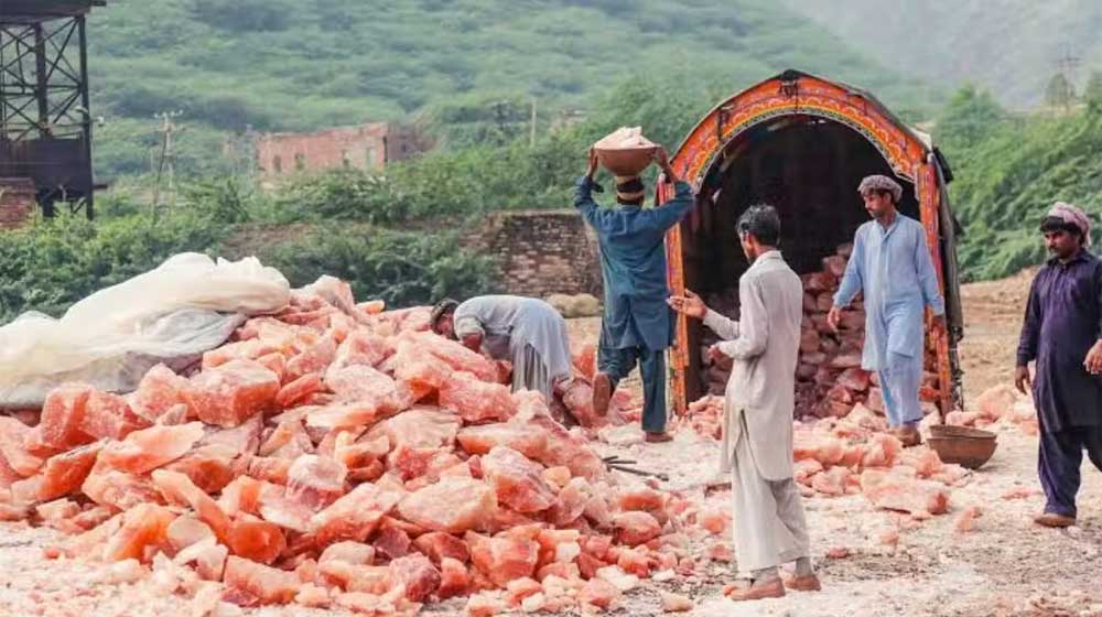 pink salt financing scheme
