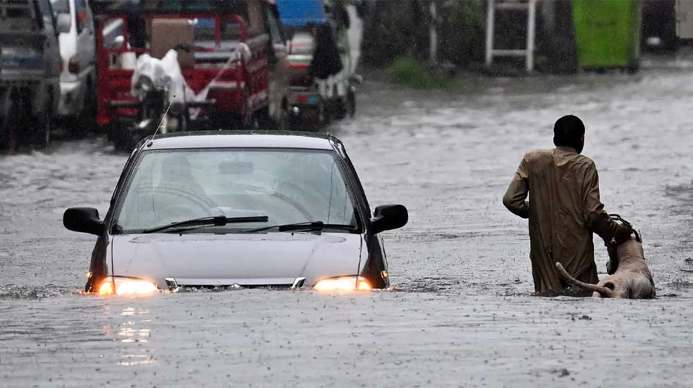 monsoon rain forecast