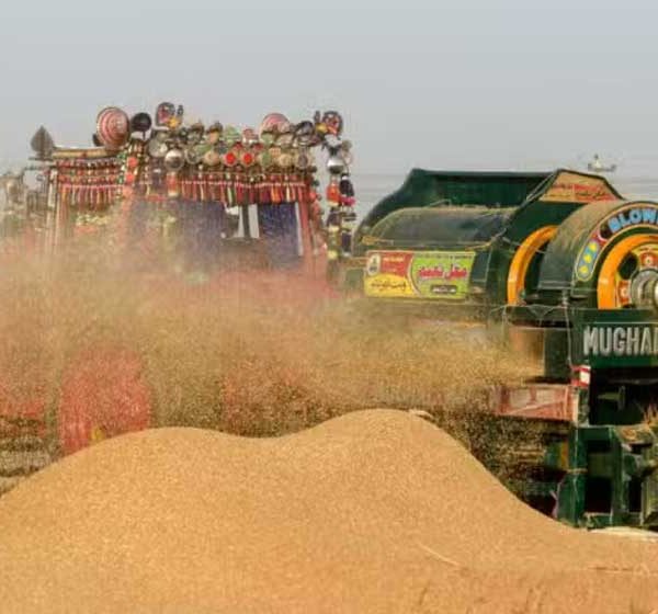 wheat import decision