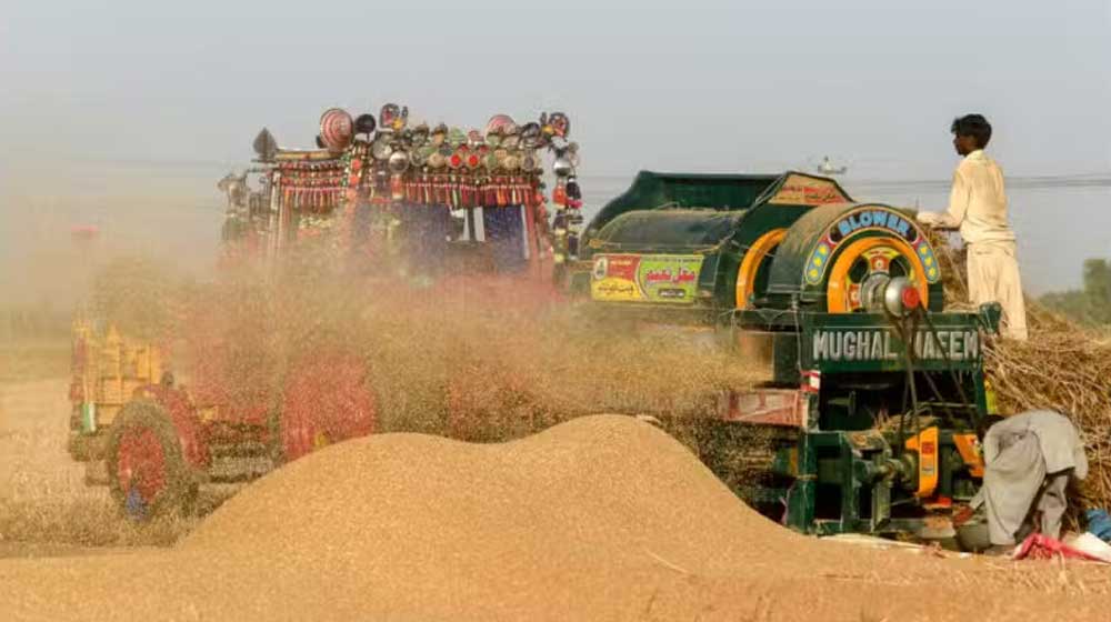 Pakistan Makes Wheat Import Decision Amid Supply Shortage