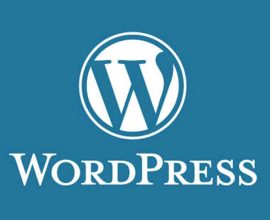 WordPress vulnerabilities Pakistan
