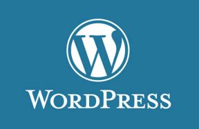 WordPress vulnerabilities Pakistan