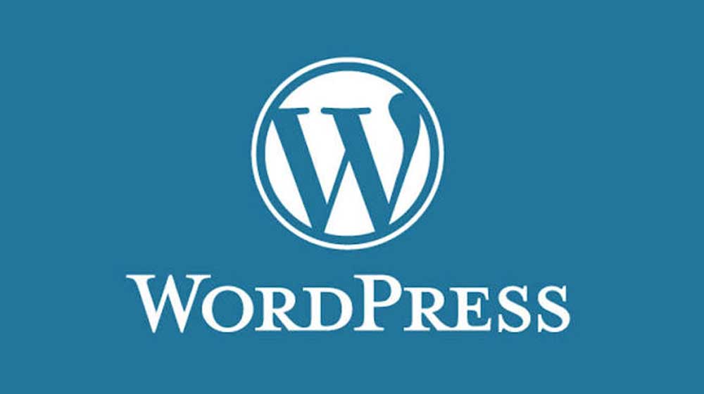 WordPress vulnerabilities Pakistan