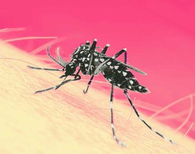 Rawalpindi dengue outbreak