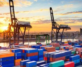 Export Facilitation Committees