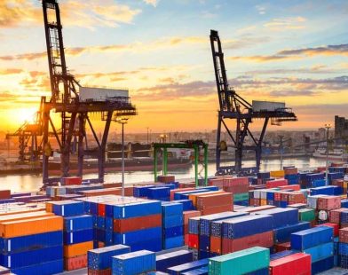 Export Facilitation Committees