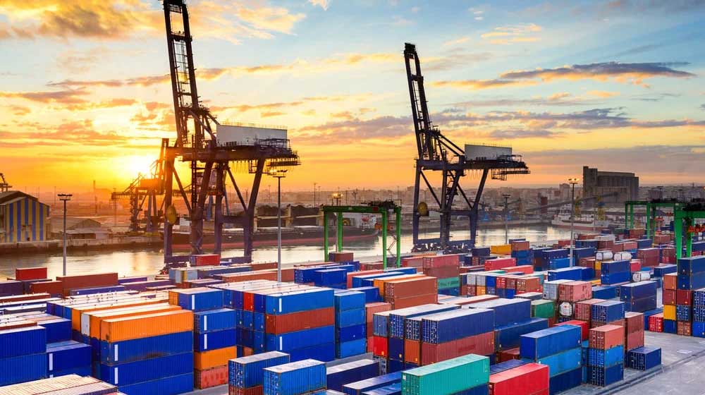 Export Facilitation Committees