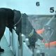 Dog sniffs 80x80