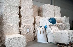 cotton shortage