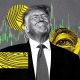 trump 80x80