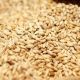 wheat import tender