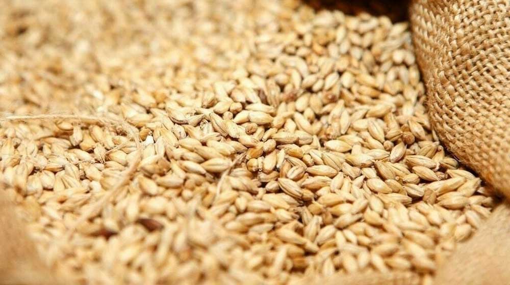 wheat import tender