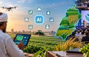 AI for Punjab farmers