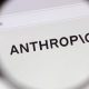 Anthropic loss 80x80