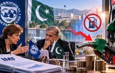 IMF fuel subsidies